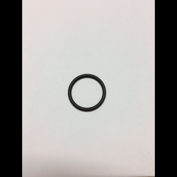 O-ring, Water Outlet to Engine Block