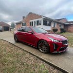 Swift Springs Sport Lowering Springs for 2018+ Lexus LS500 (XF50)