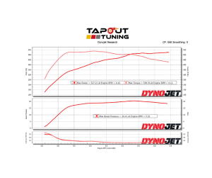 Brian's Blue Belt Dyno Chart