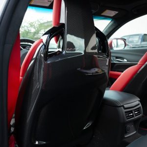 Blackwing Carbon Fiber Seatbacks