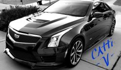 Florida Black and White ATS-V