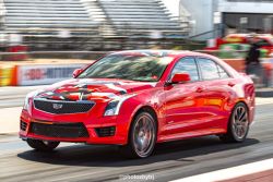 Frankenstrat drag strip