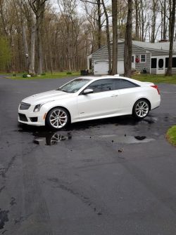 ATS-V in the Woods