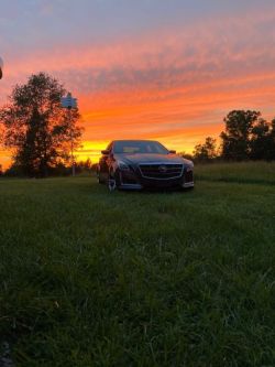 CTS V-Sport Sunset